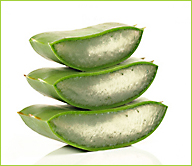 anti aging 1